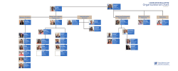 Organizational Chart - UF Career Resource Center