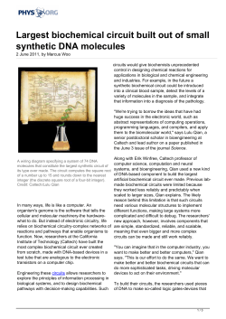 Largest biochemical circuit built out of small synthetic DNA molecules