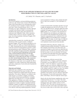 Effects of Applied Nitrogen on Yellow Mustard Seed Production in