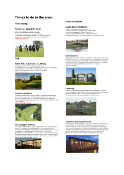 Things to do in the area