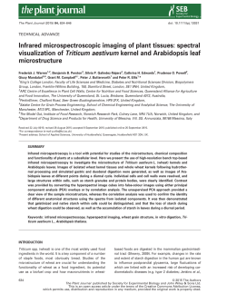 Infrared microspectroscopic imaging of plant tissues: spectral