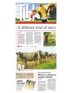 Meals on wheels - Ocheesee Creamery