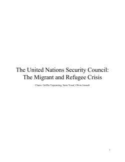 The United Nations Security Council: The