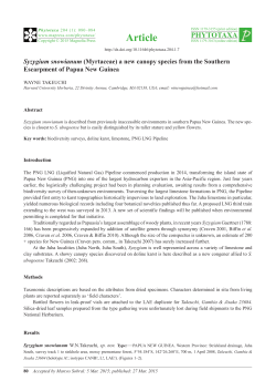 Syzygium snowianum (Myrtaceae) a new canopy