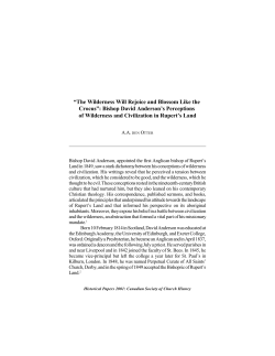 The Wilderness Will Rejoice and Blossom Like