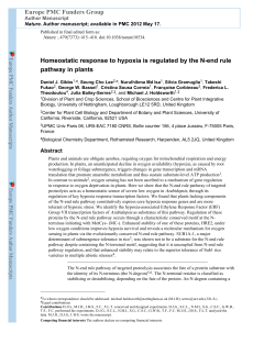 Homeostatic response to hypoxia is regulated by the
