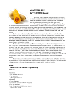 NOVEMBER 2012 BUTTERNUT SQUASH