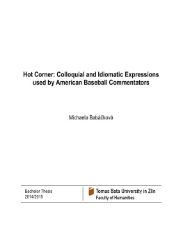 &Scaron;ablona -- Diplomov&aacute; pr&aacute;ce