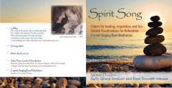 Spirit Song - Sally Strosahl