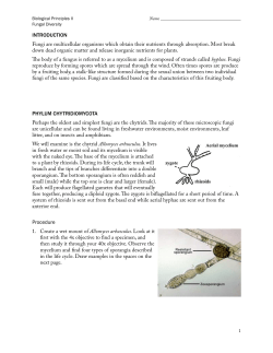S12 - [122] - Fungal Diversity