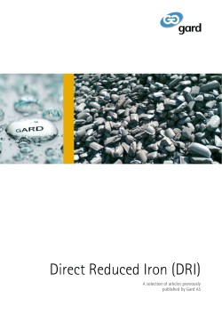 Direct Reduced Iron (DRI)