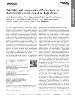 Orientation and Incorporation of Photosystem I in Bioelectronics