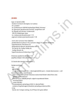 25-SKIN layer of skin(CLGSB) stratum Corneum