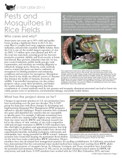Pests and Mosquitoes in Rice Fields