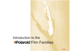 Polaroid Film Families