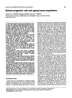 Skeletal Progenitor Cells and Ageing Human