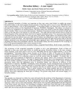 Horseshoe kidney &ndash; A case report