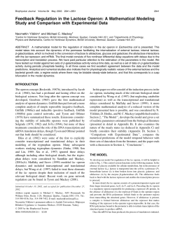 Feedback Regulation in the Lactose Operon: A