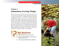 Chapter 3 Interactions of Living Things
