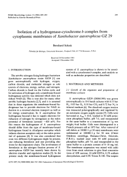 Isolation of a hydrogenase-cytochrome b complex from cytoplasmic