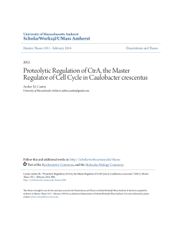 Proteolytic Regulation of CtrA, the Master Regulator of Cell Cycle in