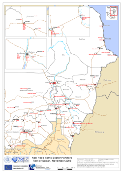 Non-Food Items Sector Partners Rest of Sudan