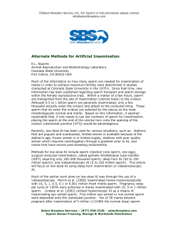 Alternate Methods for Artificial Insemination
