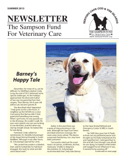 NEWSLETTER - Sampson Fund