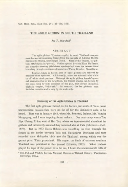 THE AGILE GIBBON IN SOUTH THAILAND Discovery of the Agile