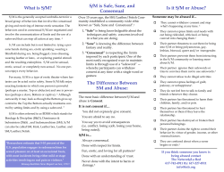 SM for Professionals