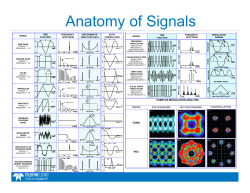 Anatomy of Signals