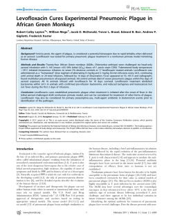Levofloxacin Cures Experimental Pneumonic Plague in African