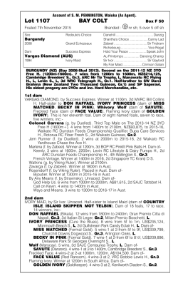 Lots 1107 - New Zealand Bloodstock