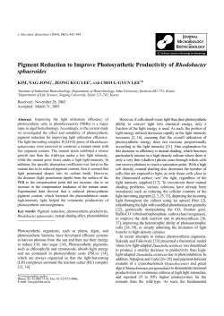 Pigment Reduction to Improve Photosynthetic Productivity of