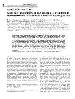 Light microenvironment and single-cell gradients of carbon fixation