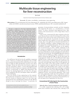 Multiscale tissue engineering for liver reconstruction