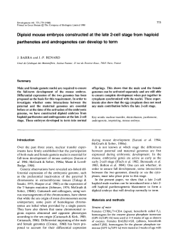 Diploid mouse embryos constructed at the late 2