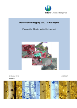 Deforestation Mapping 2012 &ndash; Final Report