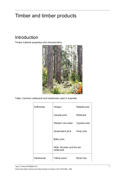 2.3 Timber - Your Decision