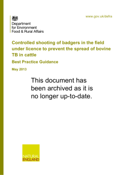Controlled shooting of badgers in the field under licence to prevent