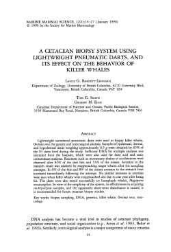 a cetacean biopsy system using lightweight