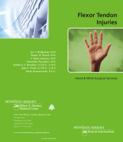 Flexor Tendon Injuries