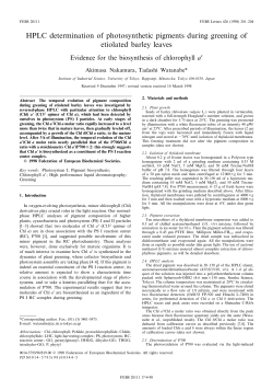 HPLC determination of photosynthetic pigments during greening of