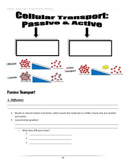 Passive Transport Passive Transport 1. Diffusion: