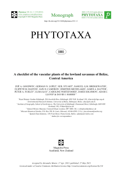 Full article - Magnolia press