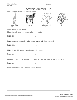 African Animal Fun