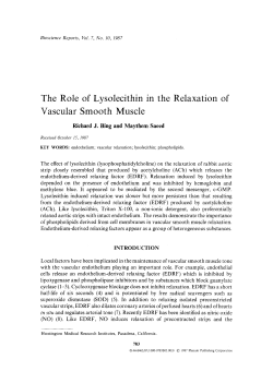 The role of lysolecithin in the relaxation of vascular smooth muscle