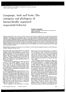 Greenfield (1991) Language, tools and brain