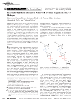 Enzymatic Synthesis of Nucleic Acids with Defined Regioisomeric