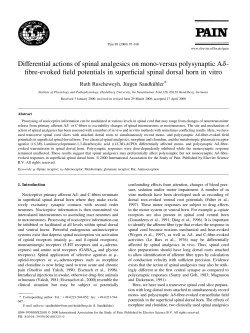 fibre-evoked field potentials in superficial spinal do